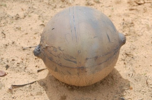 В Африке приземлился загадочный металлический шар из космоса